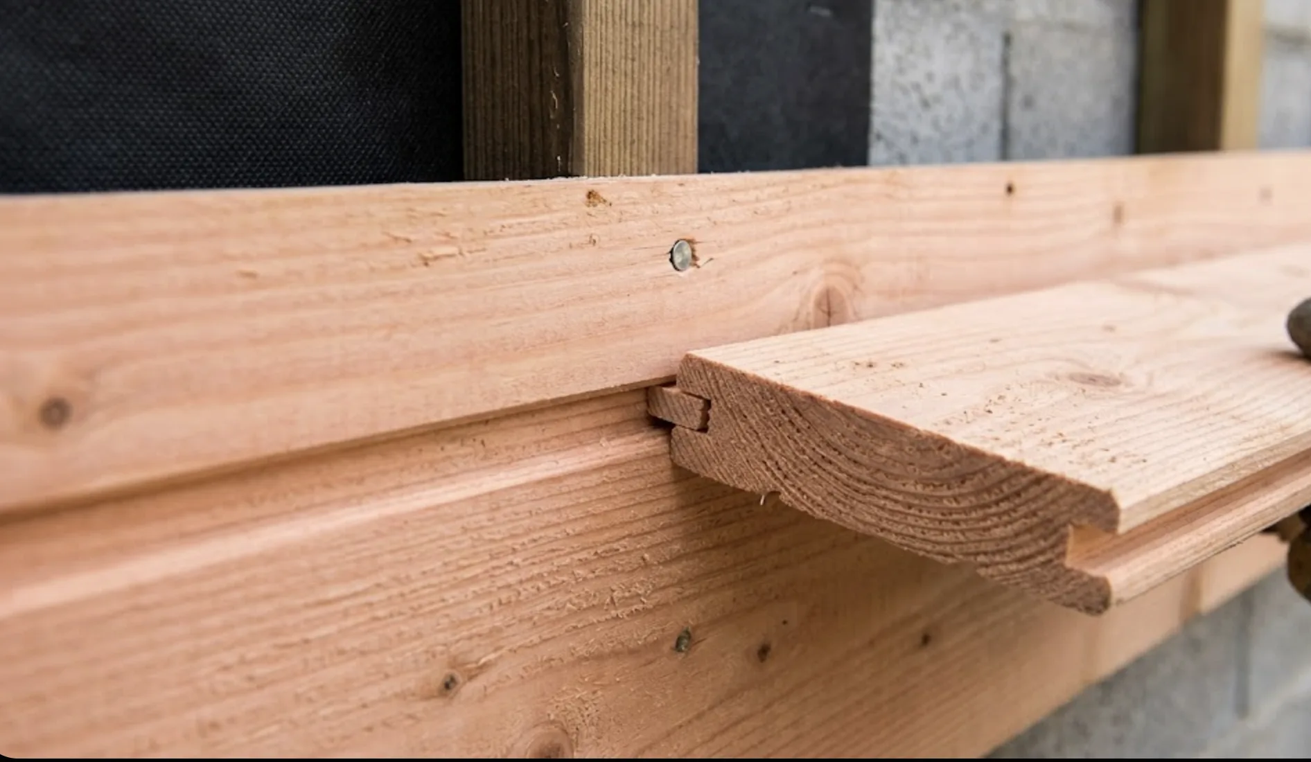 Zoom sur l'emboîtement de deux lames de bardage en bois de Douglas, languette vers le haut, avec fixation par pointe inox dans la rainure