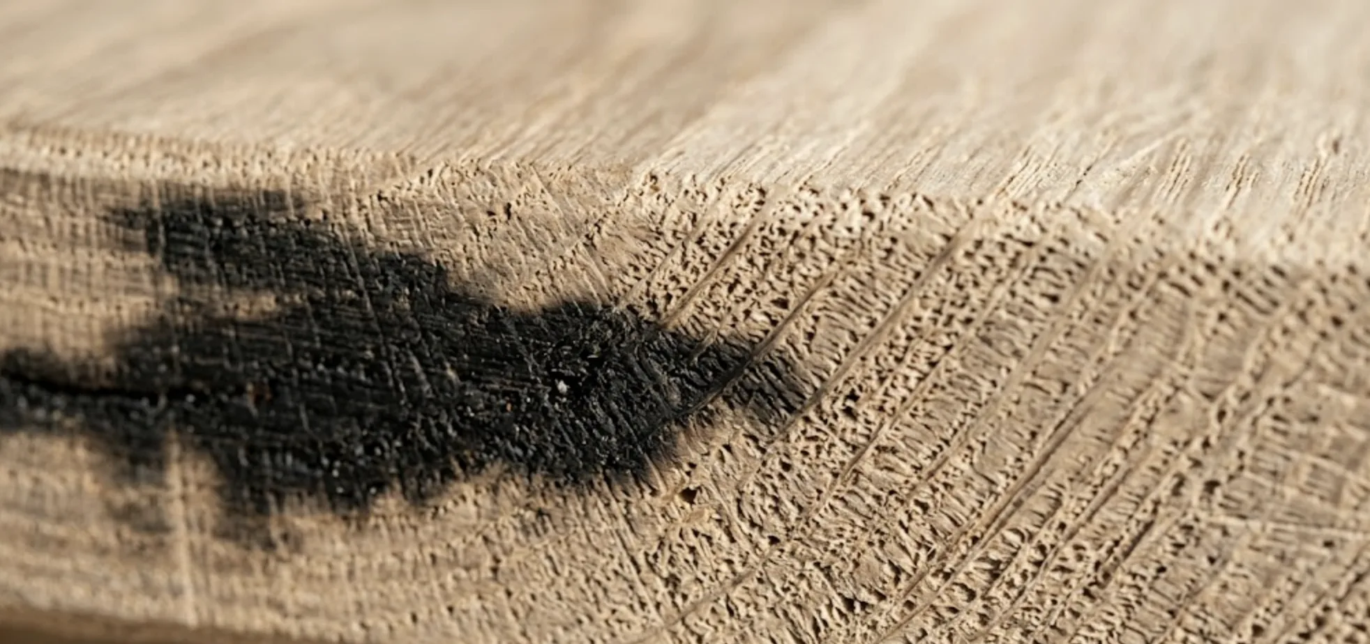 Tache sur bois après ponçage : comment l'identifier et l'enlever ?